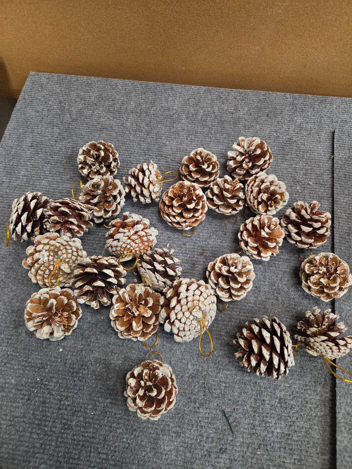 24ct Snow Frosted Pinecone Christmas Tree Ornaments Gold Cord NEW IN BOX