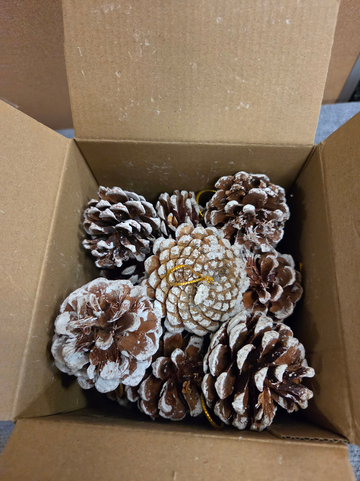 24ct Snow Frosted Pinecone Christmas Tree Ornaments Gold Cord NEW IN BOX