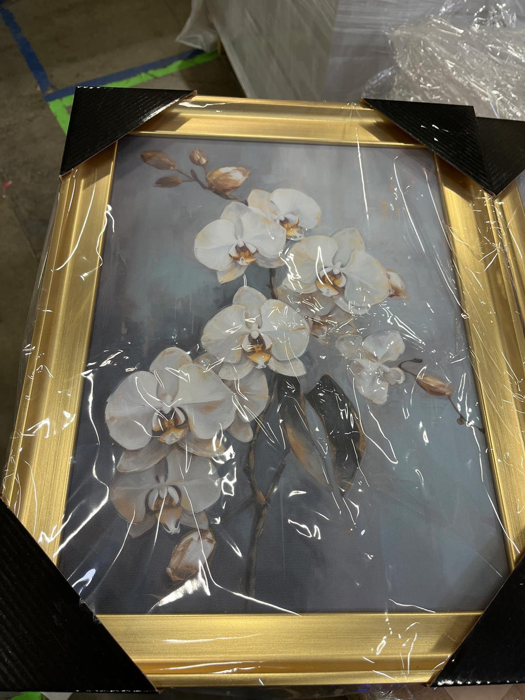 FLORAL Series CXCII -Custom Framed Wrapped Gallery Canvas - 2 Pieces
