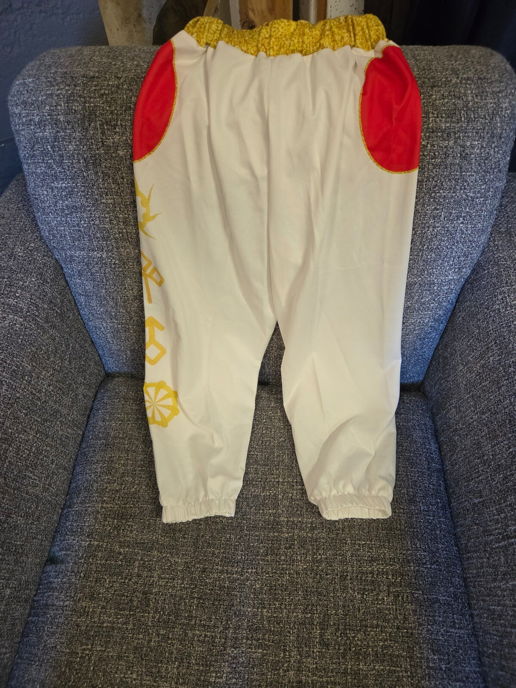 Halloween Costume - Pokemon? - Small (130)