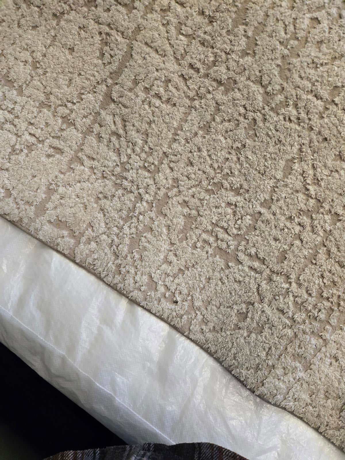 Icon 5x7 Beige Area Rug, Like New Condition - PDX Furnish