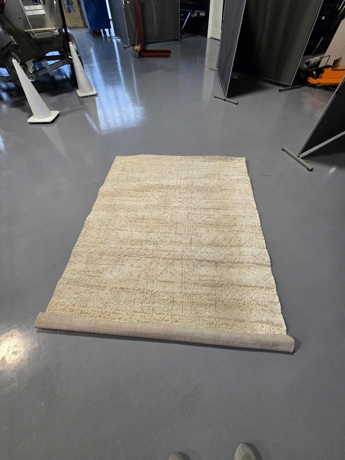 Icon 5x7 Beige Area Rug, Like New Condition - PDX Furnish